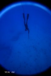 Freedive. Some of my co-workers go freediving on the week... by Mathew Cook 